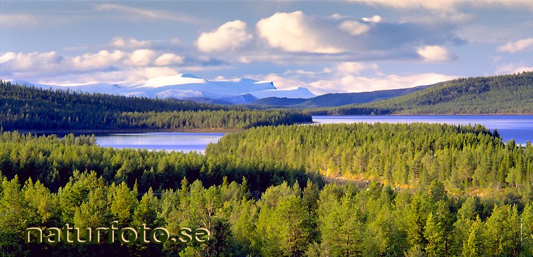 Skogar sjöar och fjäll, laxforsen oinakkajärvi torneälven lappland  