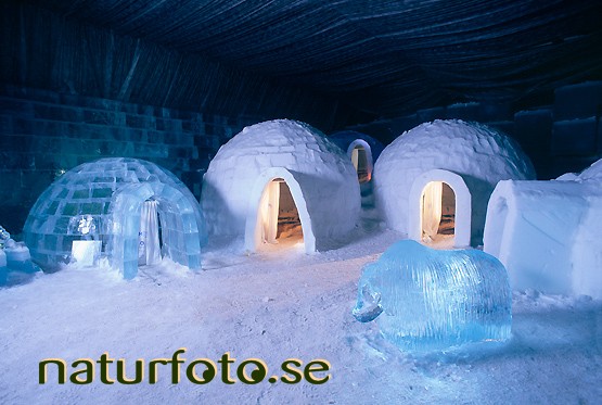 Ishotellet
icehotel, jukkasjärvi lappland  