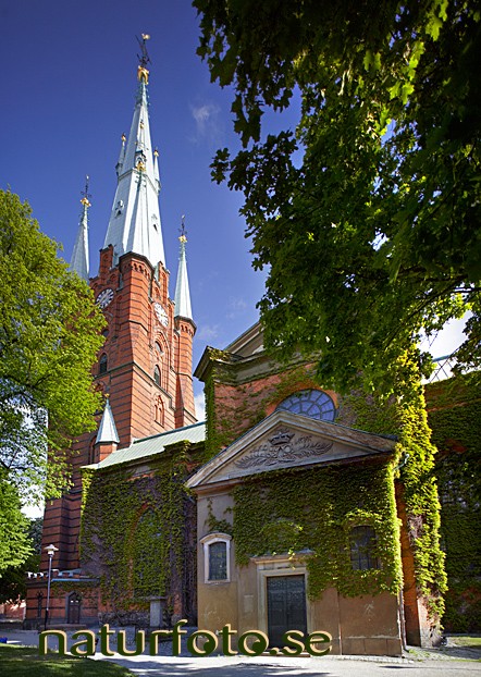 S:ta clara kyrka, s:a klara kyrka, stockholm  