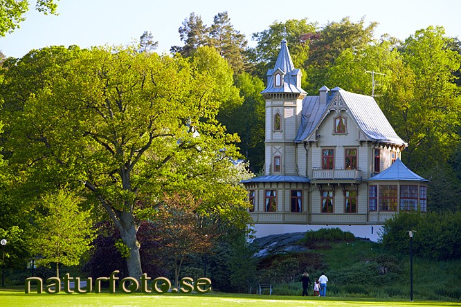 DirektÃ¶rsvillan Ronneby Brunnspark - Naturfoto