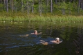 simmande kvinnor 
ögeltjärns naturreservat
gullviks friluftsområde